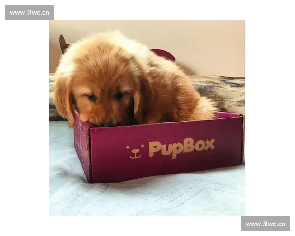 畅享指尖激情体验PG娱乐电子游戏的无限魅力与惊喜之旅